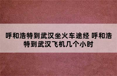 呼和浩特到武汉坐火车途经 呼和浩特到武汉飞机几个小时